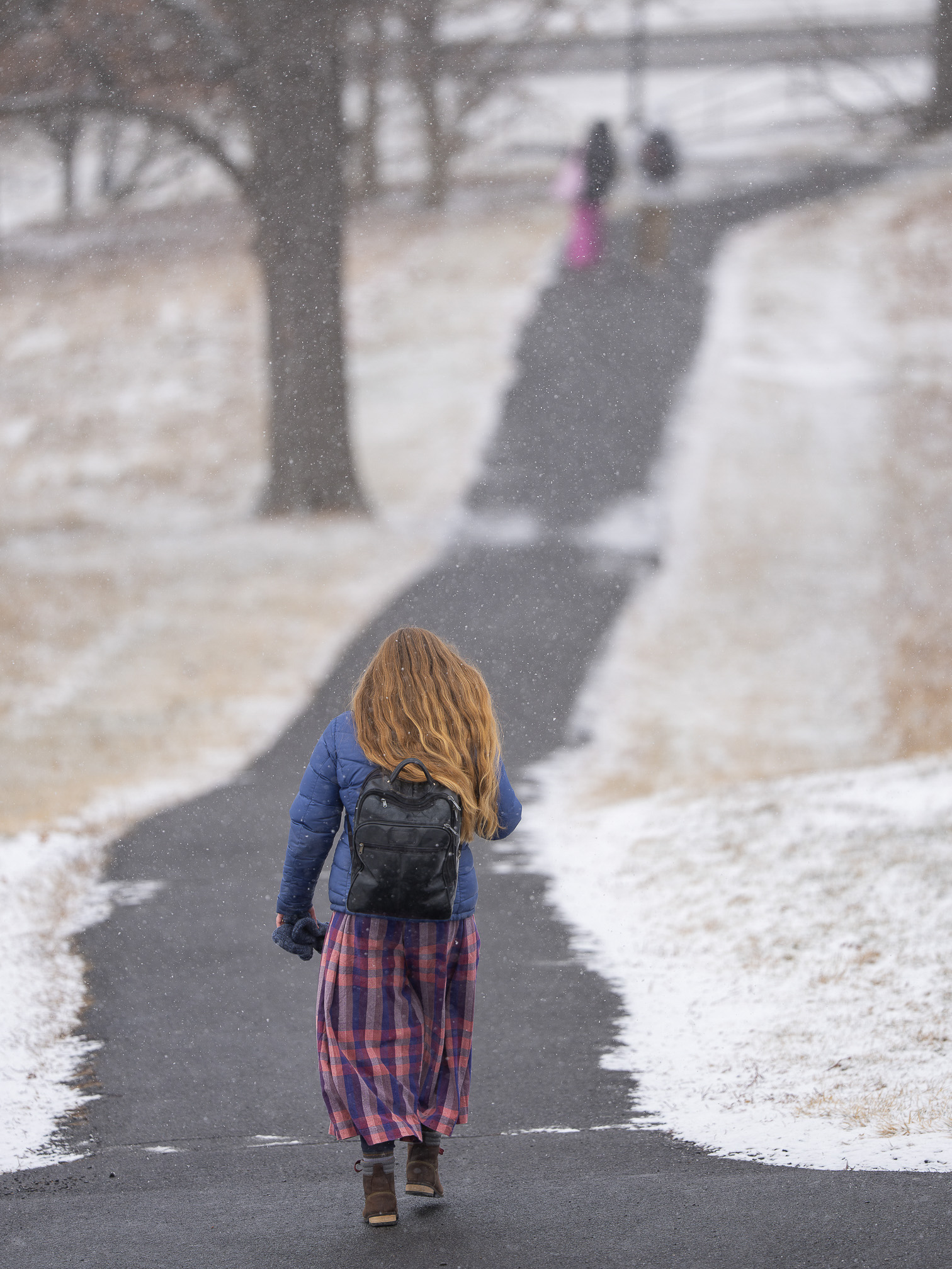 Snowy Winter
